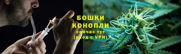 твердый Горно-Алтайск