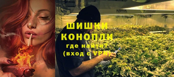 ГАЛЛЮЦИНОГЕННЫЕ ГРИБЫ Горнозаводск