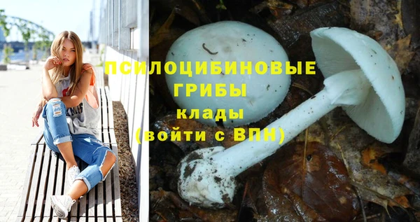 ГАЛЛЮЦИНОГЕННЫЕ ГРИБЫ Горнозаводск