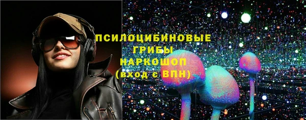 ГАЛЛЮЦИНОГЕННЫЕ ГРИБЫ Горнозаводск