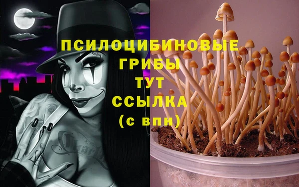 молекула духа Гусев