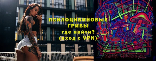 твердый Горно-Алтайск